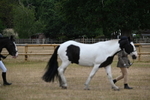 WJ6_7840