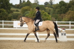SBM_003085