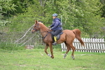 WJ6_3226