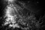Cromford Canal Pathway Light
