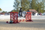 SBM_34295