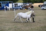 WJ6_6907