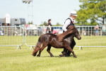 SBM_01890