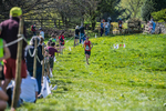 The Finish-465