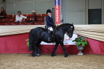 SBM_18667