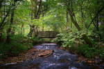 footbridge-over-euchan-wate