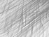 Dunescape 06