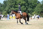 WJ7_0410