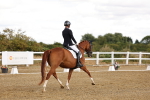 SBM_006298