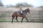 SBM_004775