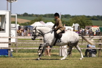 SBM_17736