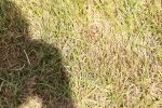 SBM_05554