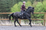 SIAL3490