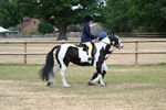 WJ7_9612
