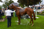 250823-Race 3-Lake Forest-0506