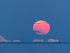 D75_2431a_1