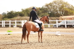 SBM_016921