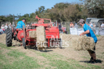 Guernsey Agricultural Show 2021-215