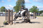 SBM_02422_J54 - Clear Round - 45cm