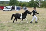 WJ6_5343