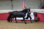 SBM_17395