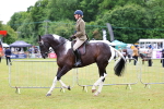 SBM_02653
