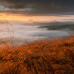 Gold Rush, Derbyshire.