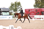 SBM_04092
