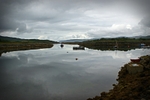 DSC01952