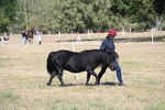 WJ6_4389