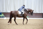 SBM_008800