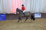 SBM_003655