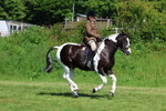 3E7A8856