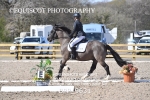 BPP_9631
