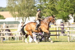 SBM_19626