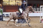 BPP_8291