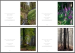 4 Seasons Portrait No.3
