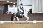 SBM_003561