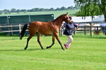 SBM_00979