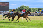 220726-Race 6-Barmyblade-0281