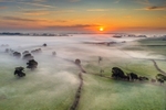 z4113 Misty Sunrise over Nunwell