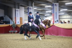 Class 0 - Ridden Pairs Champ portfolio