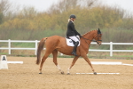 SBM_002095