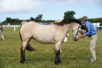 DSC05815