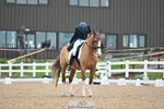 124-Katharine.Lewis-Albertho.B portfolio