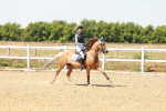 SBM_002173