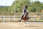 SBM_003409