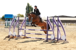 SBM_002619