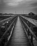 041 Newtown bridge BW