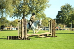 SBM_37376